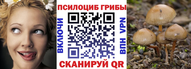 hydra сайт  Туапсе  Псилоцибиновые грибы мицелий 