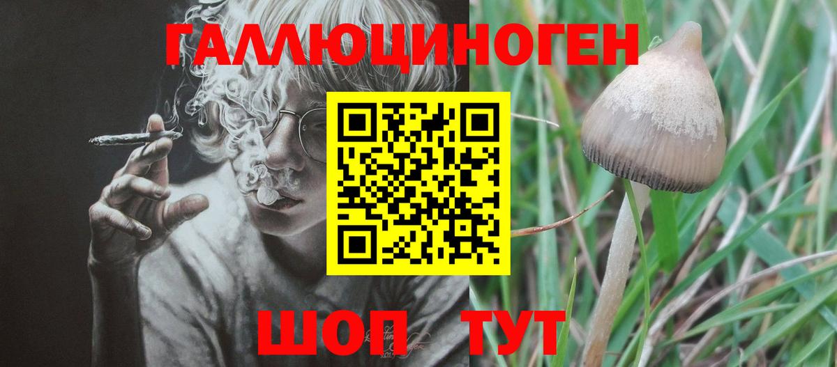 Псилоцибиновые грибы Cubensis Туапсе